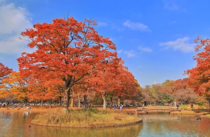 澀谷帶小孩去處 澀谷帶小孩去處