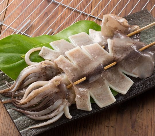 大魷魚營養價值 大魷魚營養價值