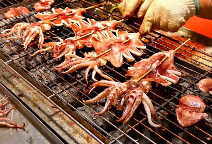 大魷魚營養價值 大魷魚營養價值