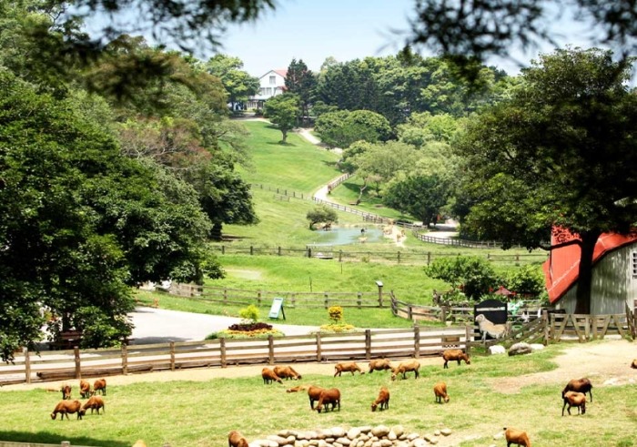 苗栗溫泉大眾池 苗栗溫泉大眾池