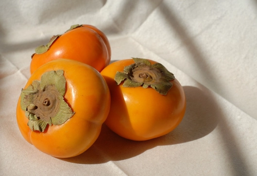 柿子採摘 柿子採摘