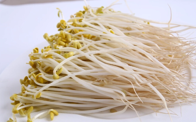 豆芽麵食譜 豆芽麵食譜