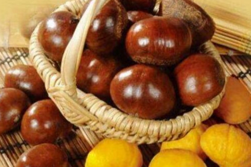 栗子食用禁忌