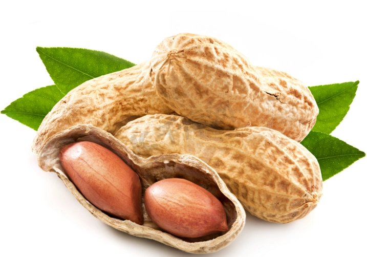 花生營養中醫觀點