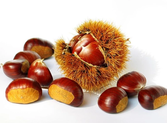 栗子消化不良