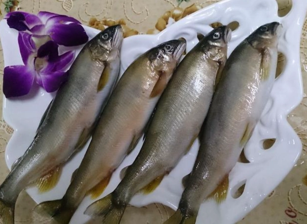 香魚料理食譜 香魚料理食譜