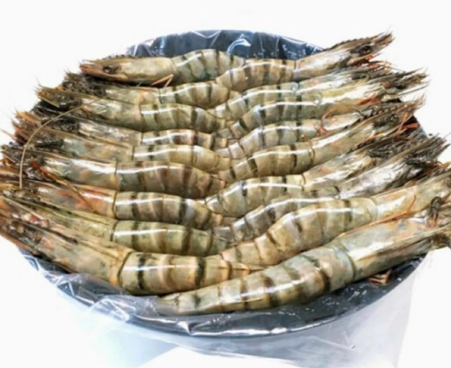 冷凍海鮮烹飪 冷凍海鮮烹飪