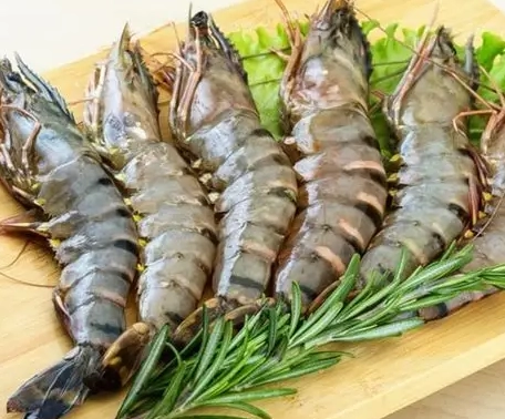 虎蝦食譜 虎蝦食譜